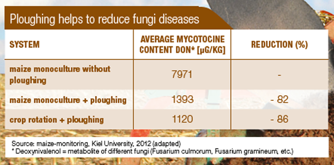 Ploughing-helps-to-reduce-fungi diseases